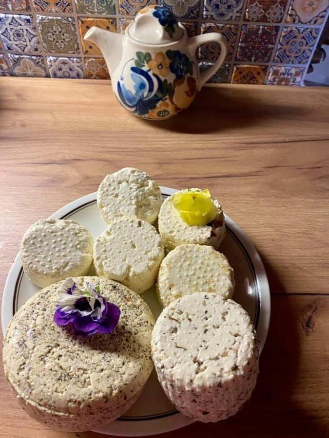 Agrojelonki Agroturystyka Gietrzwałd Esterno foto